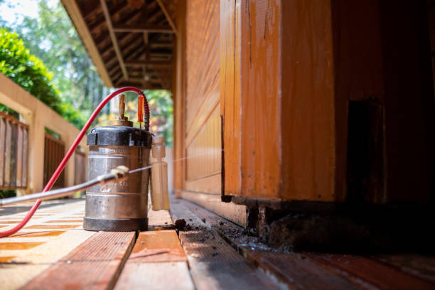 Best Pest Inspection Near Me  in Tazewell, TN
