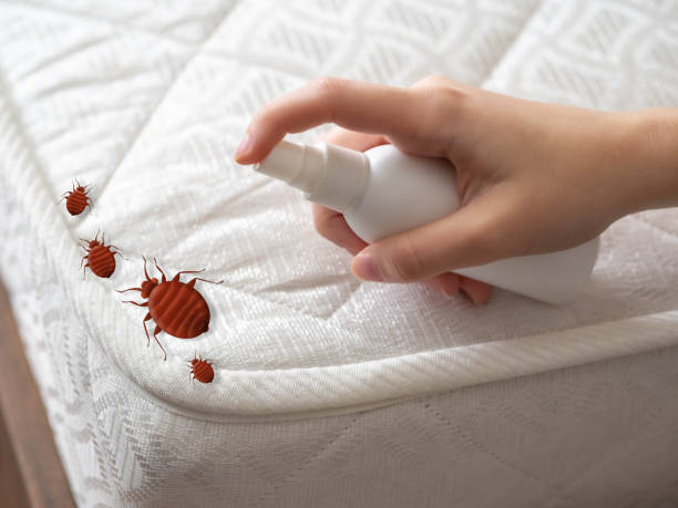 Best Emergency Pest Control  in Tazewell, TN