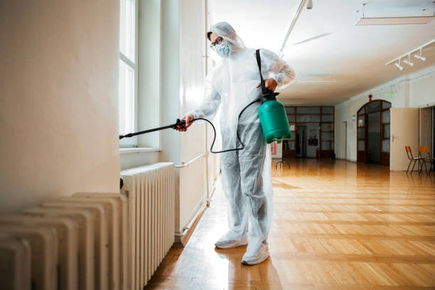 Wasp Removal Services in Tazewell, TN